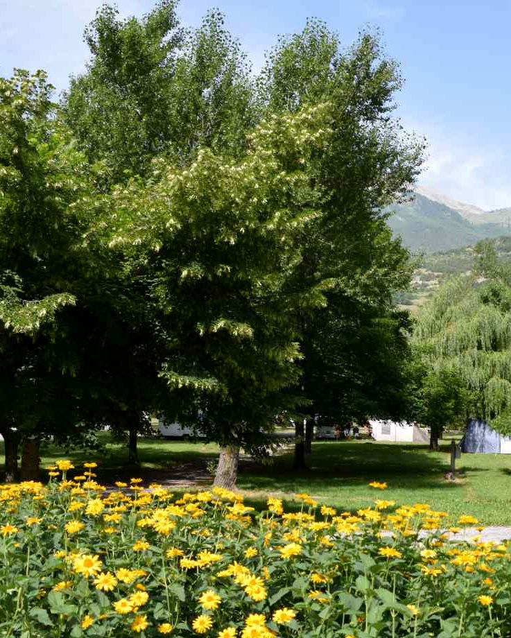 un parc ombragé et spacieux pour vos emplacements de camping