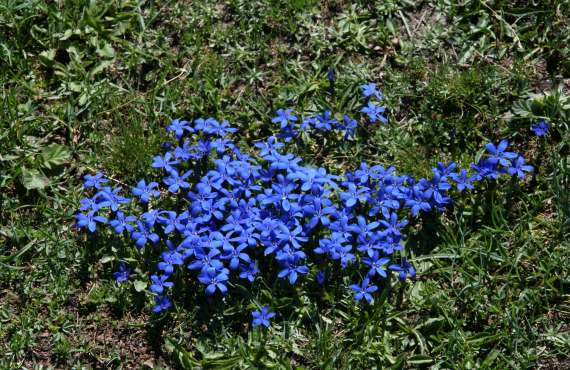 Kayak, canoeing, rafting, canyoning - Mille Vents campsite