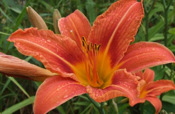 Kayak, canoeing, rafting, canyoning - Mille Vents campsite