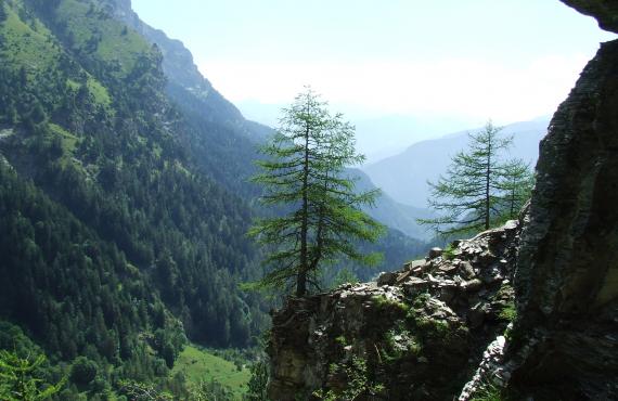 Kayak, canoeing, rafting, canyoning - Mille Vents campsite