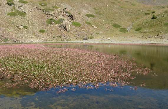 Kayak, canoeing, rafting, canyoning - Mille Vents campsite