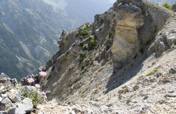 Kayak, canoeing, rafting, canyoning - Mille Vents campsite